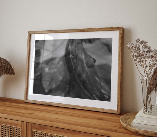 No 4 Au Naturel Original