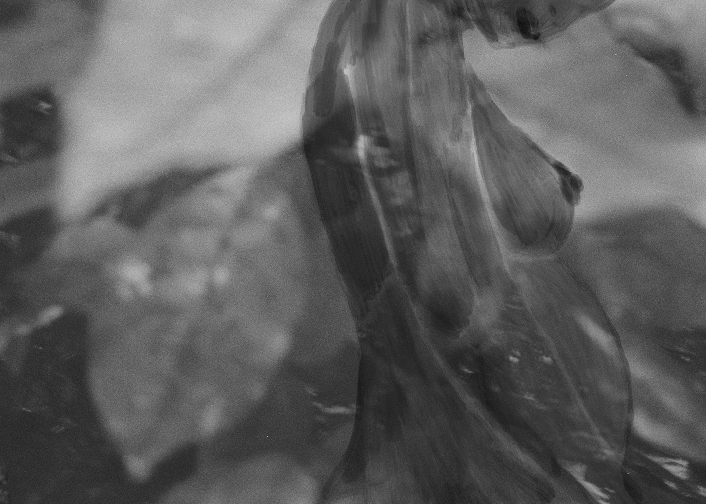 No 4 Au Naturel Original