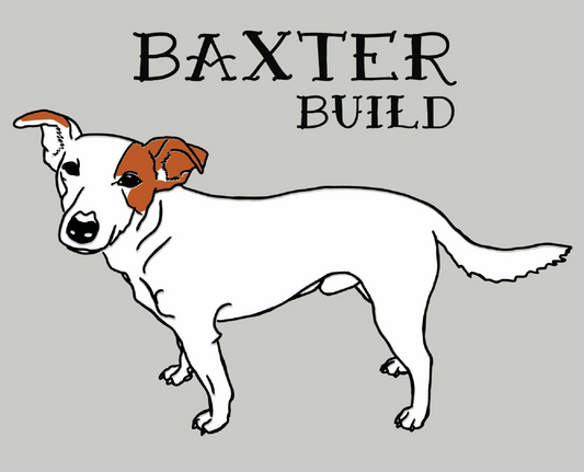 Branding for Baxter Build